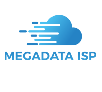 Megadata Logo